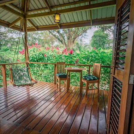 Hotel The Hummingbird Bocas del Toro Exterior foto
