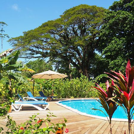 Hotel The Hummingbird Bocas del Toro Exterior foto