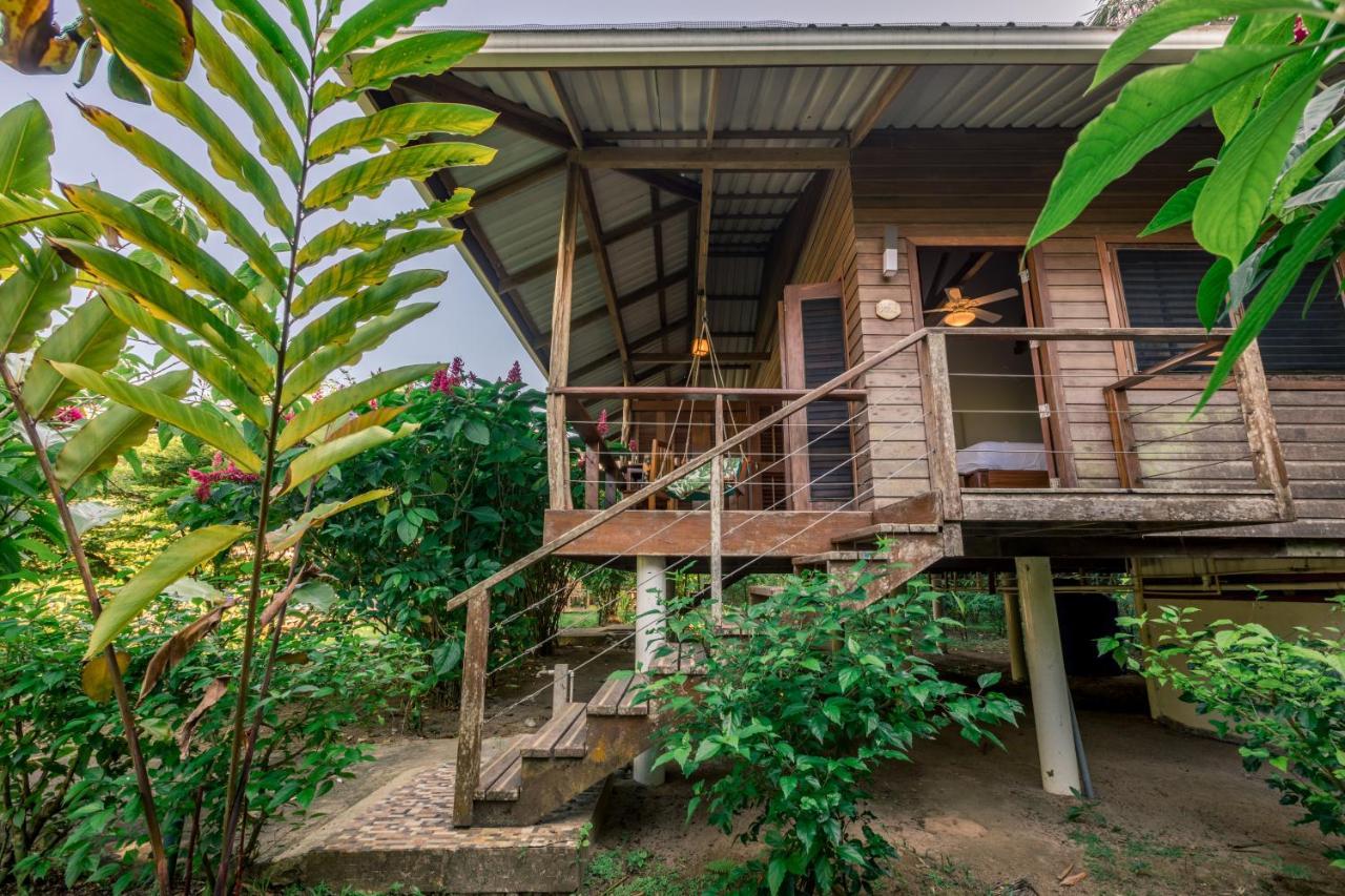 Hotel The Hummingbird Bocas del Toro Exterior foto