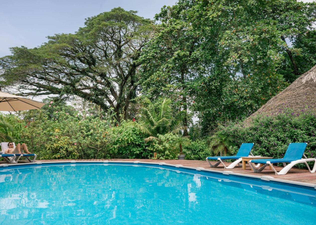 Hotel The Hummingbird Bocas del Toro Exterior foto