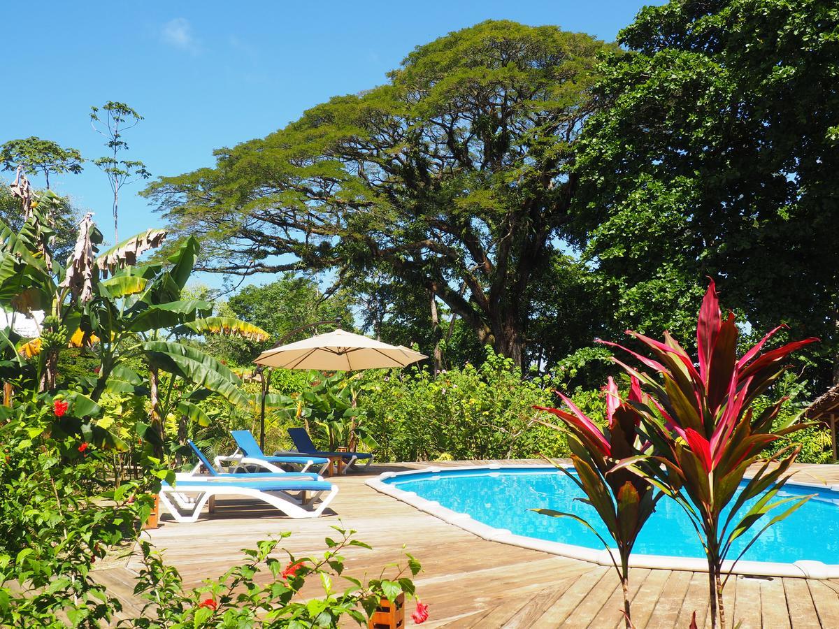 Hotel The Hummingbird Bocas del Toro Exterior foto