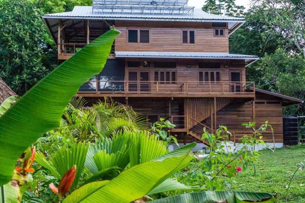 Hotel The Hummingbird Bocas del Toro Exterior foto