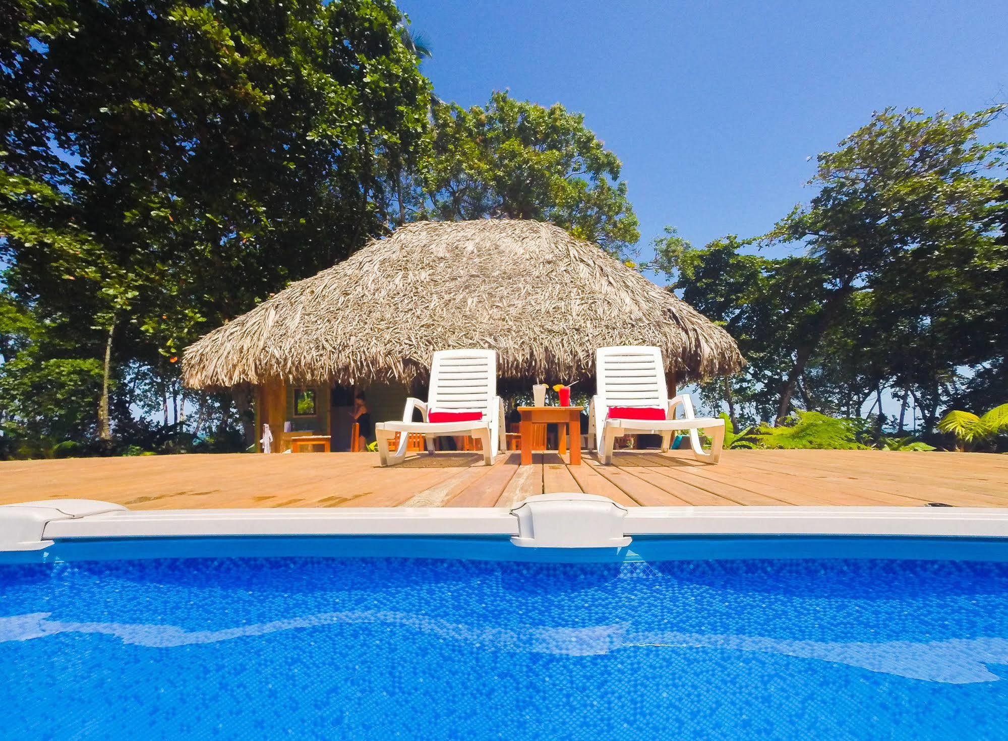 Hotel The Hummingbird Bocas del Toro Exterior foto