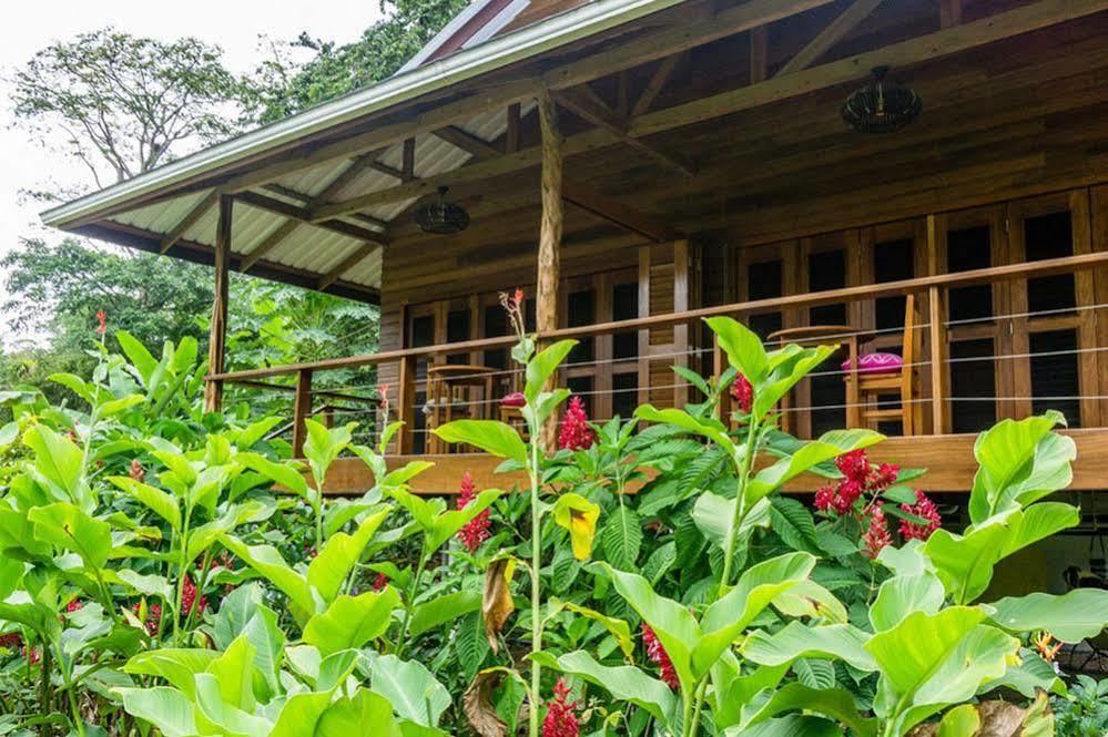 Hotel The Hummingbird Bocas del Toro Exterior foto
