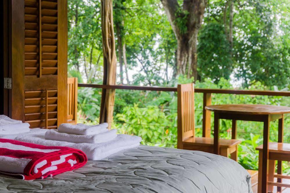 Hotel The Hummingbird Bocas del Toro Exterior foto