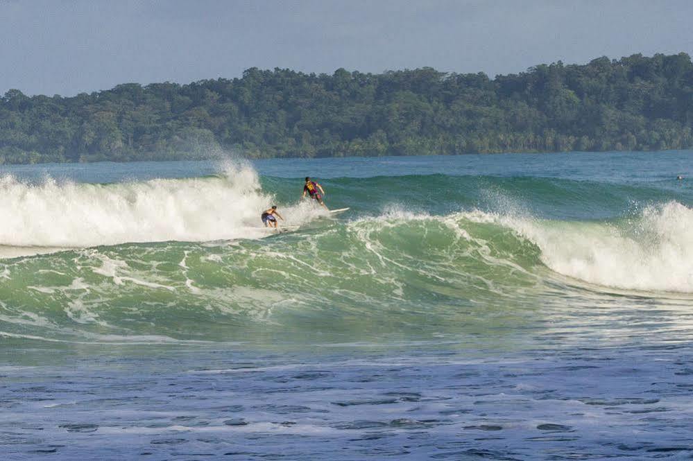Hotel The Hummingbird Bocas del Toro Exterior foto